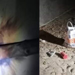 এমপি প্রার্থীর বাড়িতে ককটেল হামলা